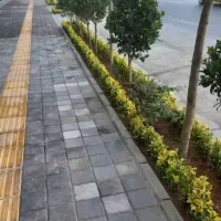 خدمات باغبانی در سراسر تهران|خدمات باغبانی و درختکاری|تهران, گلستان (شهرک راه آهن)|دیوار