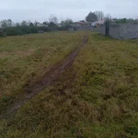 زمین خوش نقش ۳۵۰ متر دو بر زمین|فروش زمین و ملک کلنگی|لشت نشا, |دیوار