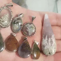 شجر|کلکسیون اشیاء عتیقه|قزوین, |دیوار