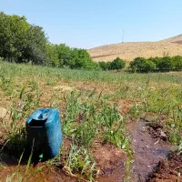 فروش زمین کشاورزی روستای رامول|فروش زمین و ملک کلنگی|دهگلان, |دیوار
