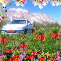 فروش خودروی پارس دوگانه دستی|خودرو سواری و وانت|فریدونشهر, |دیوار