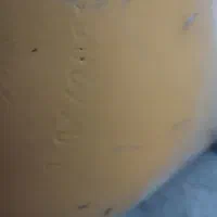 کپسول سی ان چی|قطعات یدکی و لوازم جانبی|ویلکیج, |دیوار