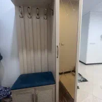 جا کفشی