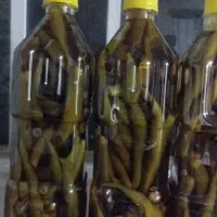 فروش محصولات خانگی|خوردنی و آشامیدنی|شیراز, گل سرخ|دیوار
