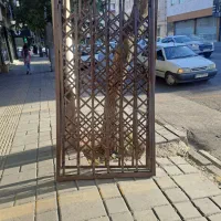 اکاردونی|مصالح و تجهیزات ساختمان|شهر ری, شهادت|دیوار