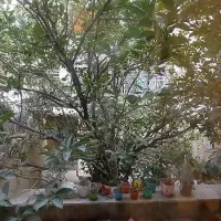 ۱۶۹متر ۳خواب غرق نور.فول امکانات|فروش آپارتمان|تهران, امیرآباد|دیوار