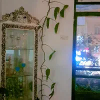 گل ها|گل و گیاه طبیعی|سنندج, |دیوار