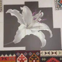 تابلو دکوراتیو مدرن