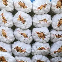 انبار بزرگ برای سیب زمینی