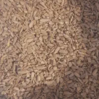 مغز تخمه شکسته برای روغنگیری