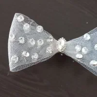 ریسه قرمز وسبز|بدلیجات|اصفهان, قلعه طبره|دیوار