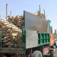 خریدار انواع چوب|خدمات باغبانی و درختکاری|مسجد سلیمان, |دیوار