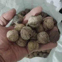 گردوی پر چرب و خوشمزه|خوردنی و آشامیدنی|میانه, |دیوار