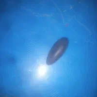 سنگ زیینتی|کلکسیون اشیاء عتیقه|زرند, |دیوار