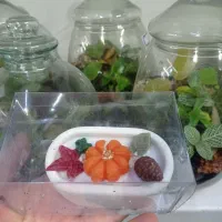 شمع یلدا|صنایع دستی و سایر لوازم تزئینی|اهواز, گلستان|دیوار