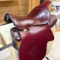 زین برنو برگ پهن|اسب و تجهیزات اسب‌سواری|اهواز, کمپلو شمالی|دیوار