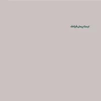 مدیر اجرایی