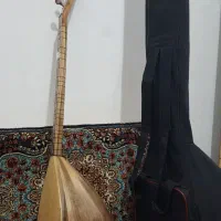 ساز دیوان دسته بلند|سازهای سنتی|سنندج, |دیوار