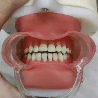 کله تمرین دندانپزشکی