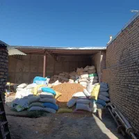 کارگر روزمزد خانم (کار در کارگاه)|استخدام خدمات فروشگاه و رستوران|تربتحیدریه, پائین ولایت|دیوار