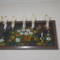 عروس هلندی رام ودستی