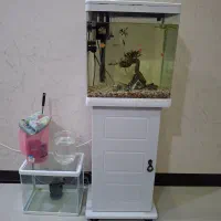 اکواریوم دلسا مدل k390 و اکواریوم کوچیک