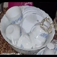 گلدان خارجی|گل و گیاه طبیعی|شیراز, شهرک پرواز|دیوار