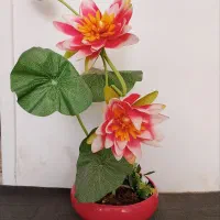 گلهای خارجی|گل مصنوعی|کاشمر, |دیوار