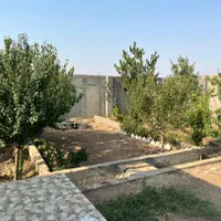 فروش باغچه ۳۰۰ متری در ماهدشت خارج از بافت|فروش خانه و ویلا|کرج, منطقه ویژه اقتصادی پیام|دیوار