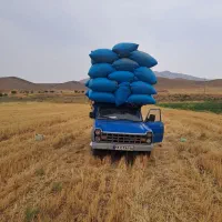 خرید وفروش کاه و یونجه