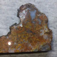 سنگ شجر|بدلیجات|کرمان, |دیوار