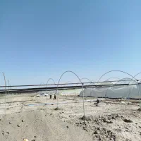 جوشکاری گلخانه|خدمات پیشه و مهارت|کهنوج, |دیوار