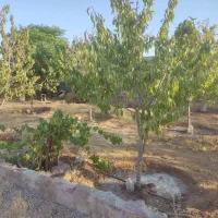 باغ-ویلا-ملکی-داخل-مجتمع-امیران