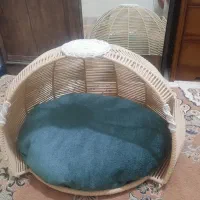 جای خواب سگ و گربه خاص