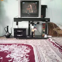تلوزیون