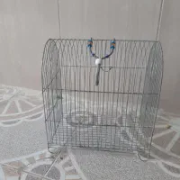 قفس