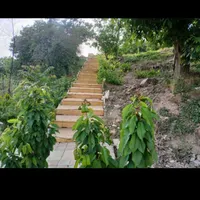 خونه باغ رایگان|اسکان اضطراری|نهاوند, |دیوار
