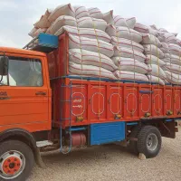 کاه دییم سفیدم نرم درجه یک به شرط