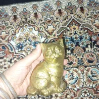 گربه های ملوس