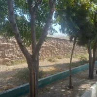 گاوداری ودامداری