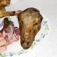 تمیز کردن کله پاچه وسیرابی وشیردان