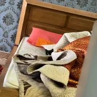 نظافت منزل ویلایی