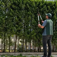 باغبانی و نگهداری فضای سبز ویلا / نوشهر و حومه