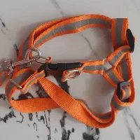 قلاده گربه .گربه.طبعیت گردی گربه