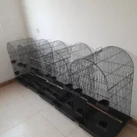 انواع قفس معمولی و تزئینی