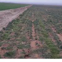 فروش-زمین-200-مترب