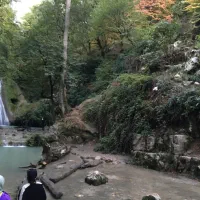 تمیز نظیف مرتب