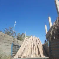 خریدار انوع چوب|خدمات باغبانی و درختکاری|بکتاش, |دیوار