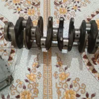 میلنگ زانتیا و کامپیوتر