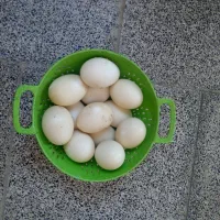 تخم مرغ لاری